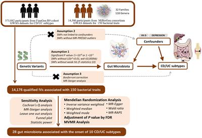 Exploring the intestinal ecosystem: from gut microbiota to associations with subtypes of inflammatory bowel disease